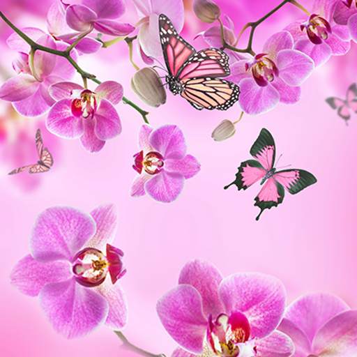 Pink Flowers Live Wallpaper 7.0