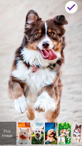 Funny Puppy Little Cute Dog Theme Nice Screen Lock screenshot 3