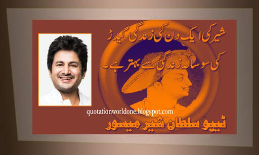 Tipu Sultan Photo Frame скриншот 4