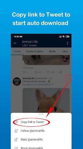 JetDownloader - Video Downloader for Twitter screenshot 3