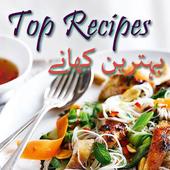 Best Recipes in Urdu &amp; Hindi  بہترین کھانے بنائیں आइकन
