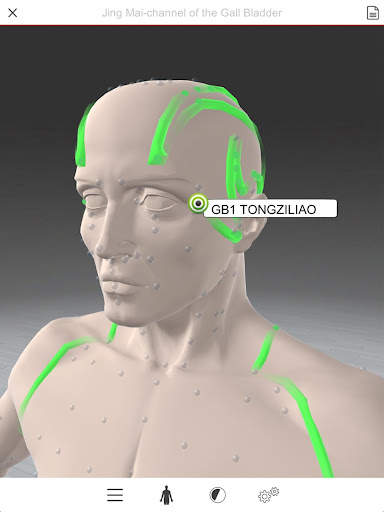 Acupuncture 3D screenshot 5