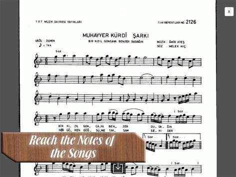 Turkish Lute(Oud) Lite screenshot 14