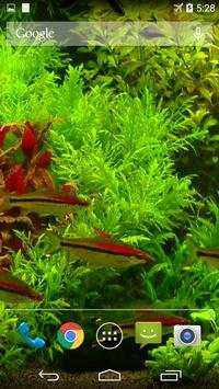 Real Aquarium Wallpaper screenshot 2
