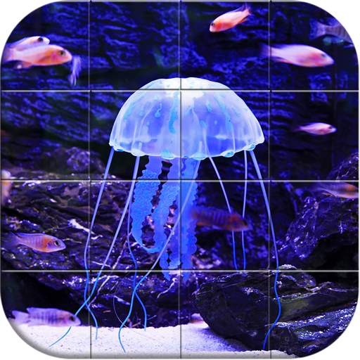 Sea world Puzzle 1.14