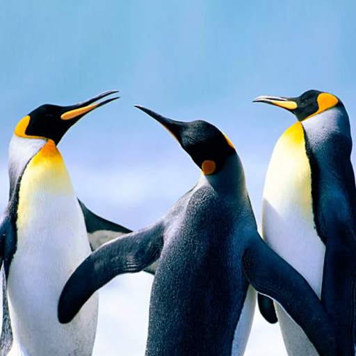 The Penguin 1.0.8