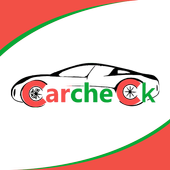 Car check icon