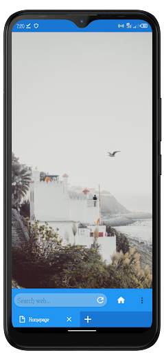 LTE Browser screenshot 1