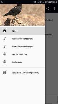 Black Lark Bird Sounds HQ screenshot 2