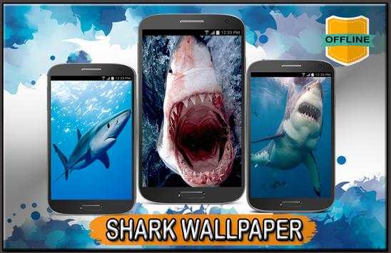 Shark Wallpaper 4K screenshot 2