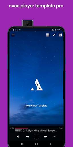 avee player template pro screenshot 4