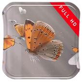 Butterflies in Slowmo LWP icon