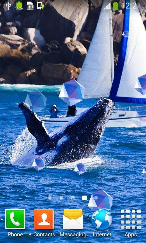 Whale Live Wallpapers  - Free Live Wallpapers screenshot 5