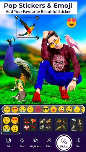 Bird Photo Editor screenshot 6