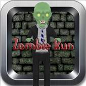 Stupid Zombie Village 1.0