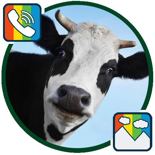 Cow - RINGTONES and WALLPAPERS 1.0