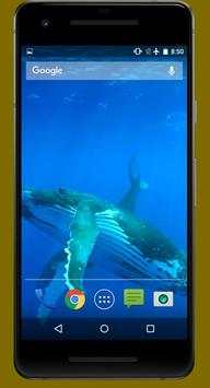 Blue Whale Live Video Wallpapers screenshot 1