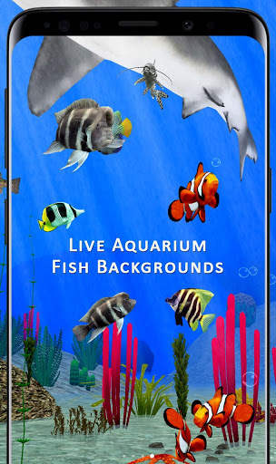 Fish Aquarium Backgrounds HD Live Wallpapers Free screenshot 4