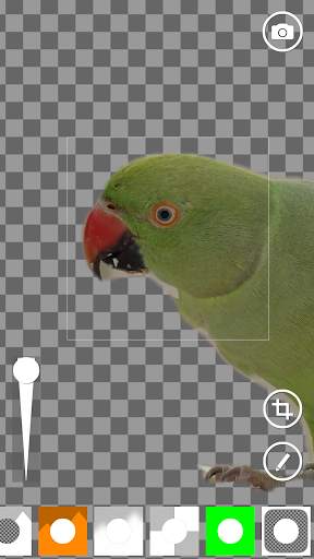 AI Green Screen 9 تصوير الشاشة