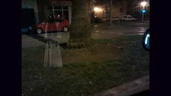 Halloween Camera: Ghosts! screenshot 2