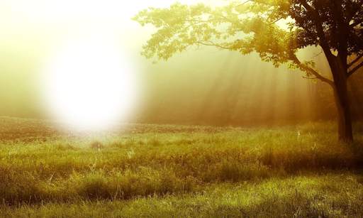 Nature Photo Editor screenshot 6