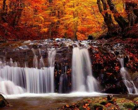 Autumn Jigsaw Puzzle Game screenshot 4