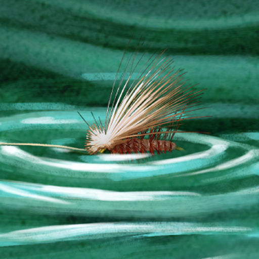 Freshwater Fly Strike icon