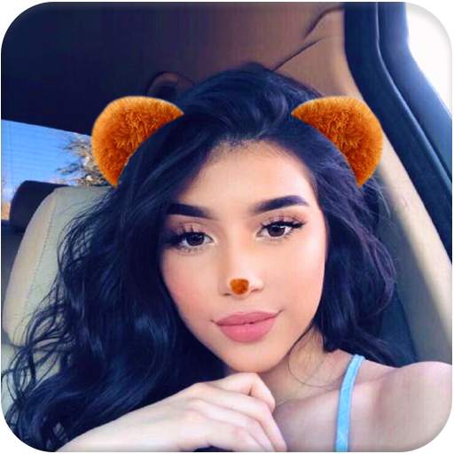 Kitty Photo Editor – Funny Stickers 0.1