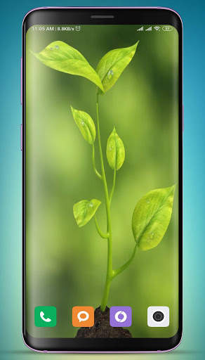 Plants Wallpaper HD screenshot 11