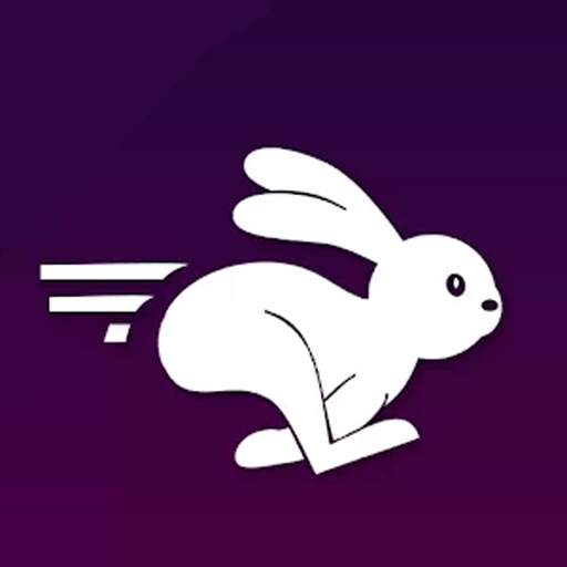 Rabbit VPN - Fast Hotspot VPN 1.0.3
