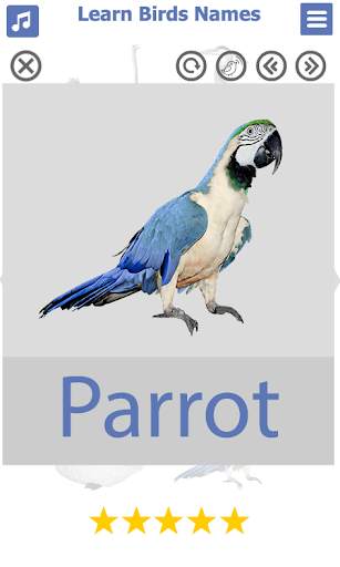 Birds name in English स्क्रीनशॉट 6