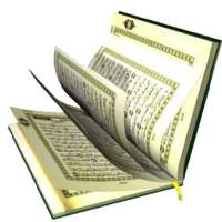 AlQuran Arabic (16lines 16-30) on 9Apps