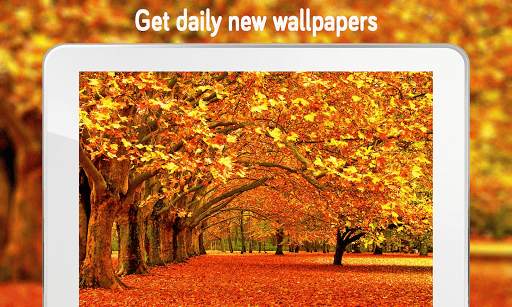 Autumn Wallpaper (4k) screenshot 12
