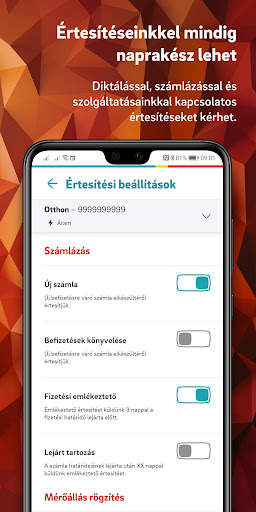 E.ON Hungary’s application screenshot 6