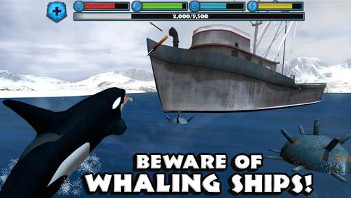Orca Simulator screenshot 2