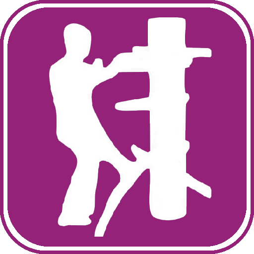 Learn Wing Chun Techniques icon