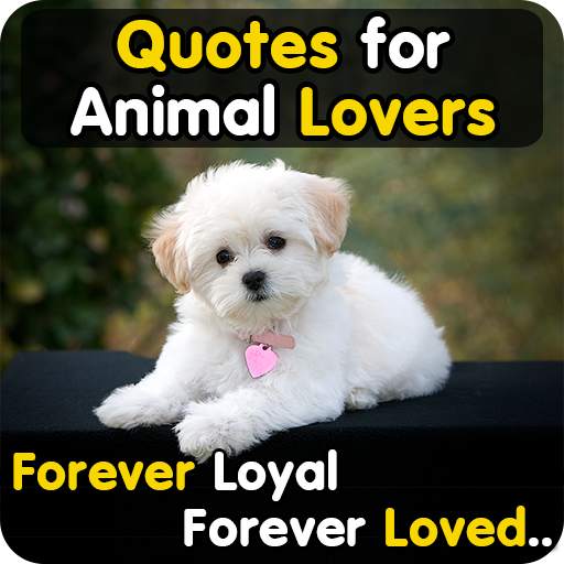 Animal Lover Quotes - Dog Lover Status - Cat Love 2.0