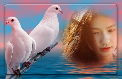 Love Birds Photo Editor screenshot 1