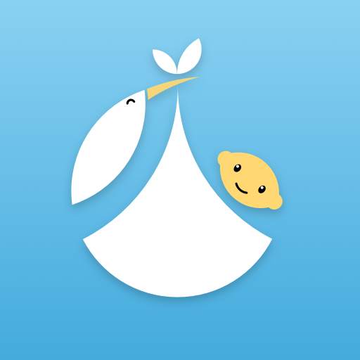Homiladorlik davri 2.5.2