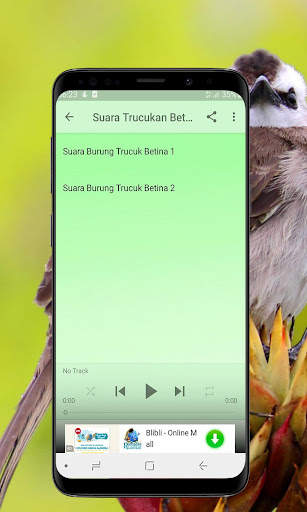 Kicau Burung Trucukan Offline screenshot 6