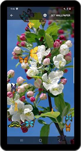 Butterfly and Blossom live wallpaper screenshot 10