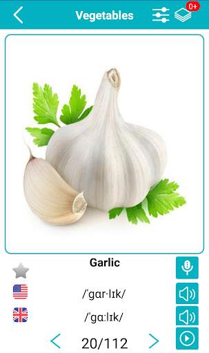 English for Kids screenshot 6