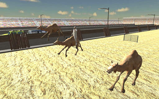Camel Race Dubai Camel Simulator screenshot 6