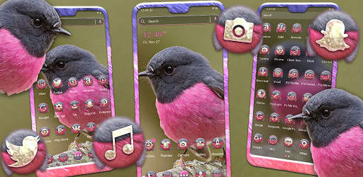 Pink Robin Launcher Theme screenshot 5