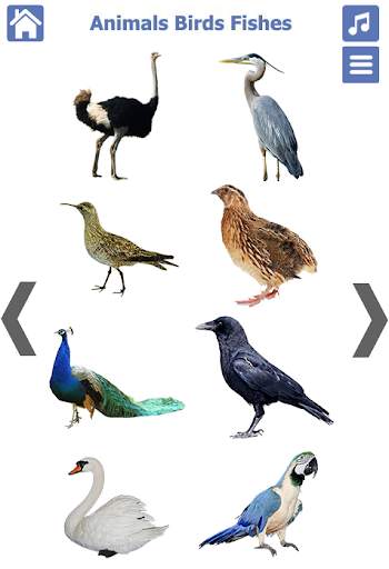 Animals Birds Fishes स्क्रीनशॉट 8