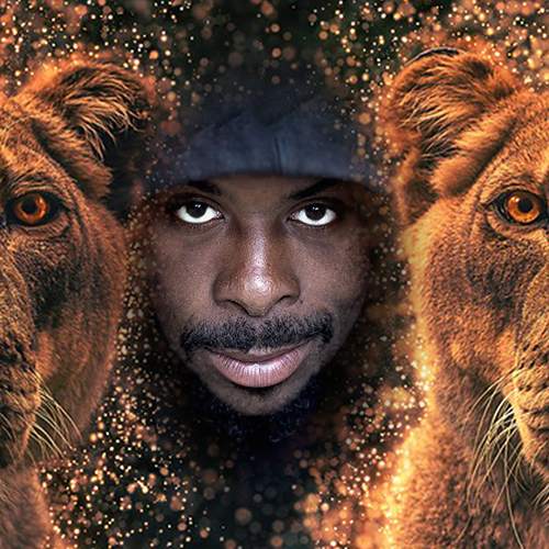 Wild Animal Photo Editor 1 تصوير الشاشة