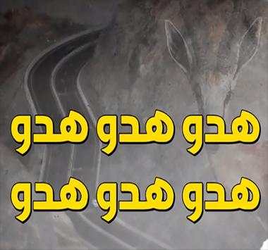 شيلة هدو هدو 1 تصوير الشاشة