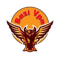 BAZI VPN logo