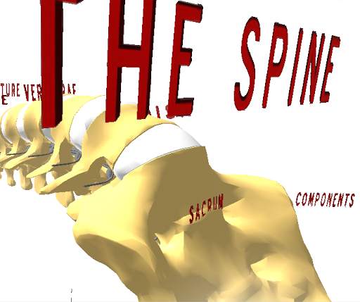 Spine 3D screenshot 1