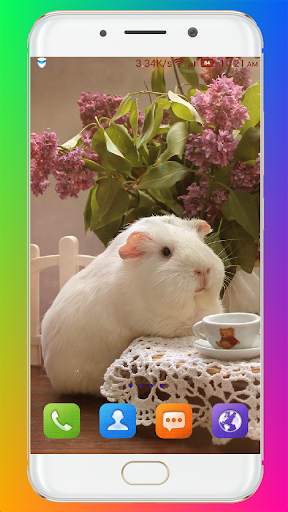 Guinea Pig Wallpaper screenshot 8